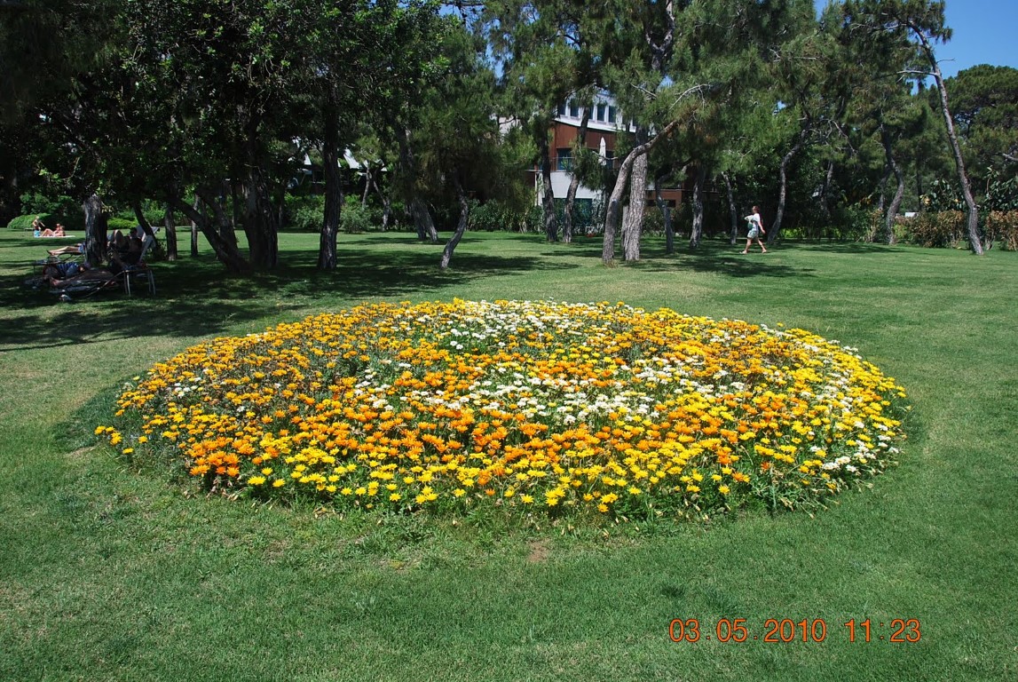 imagini hotel RIXOS SUNGATE